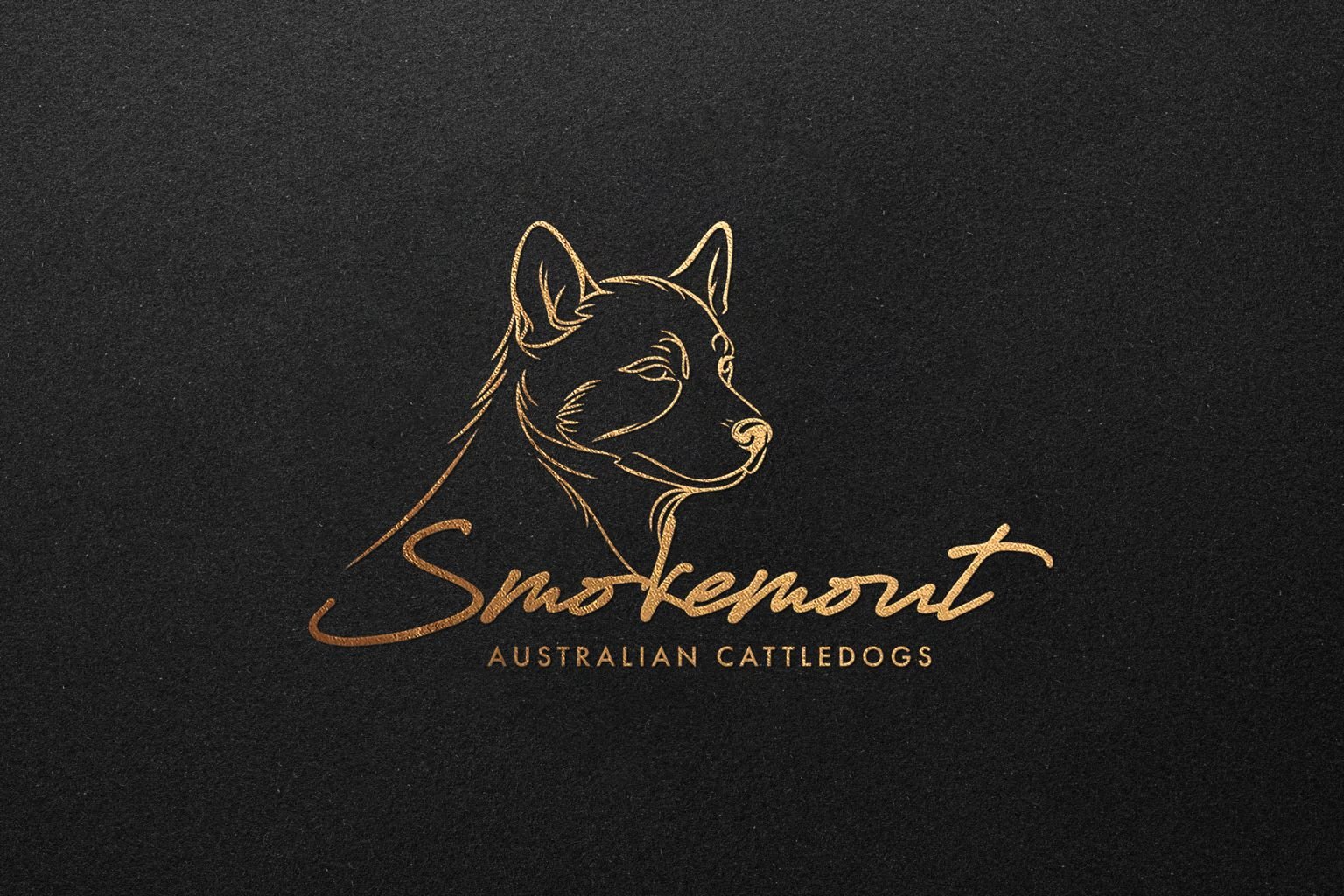 Smokemont Australian Cattledogs
